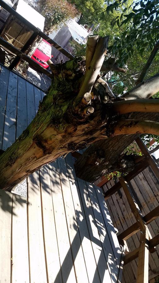 Mi Pesadilla Salinas Home エクステリア 写真