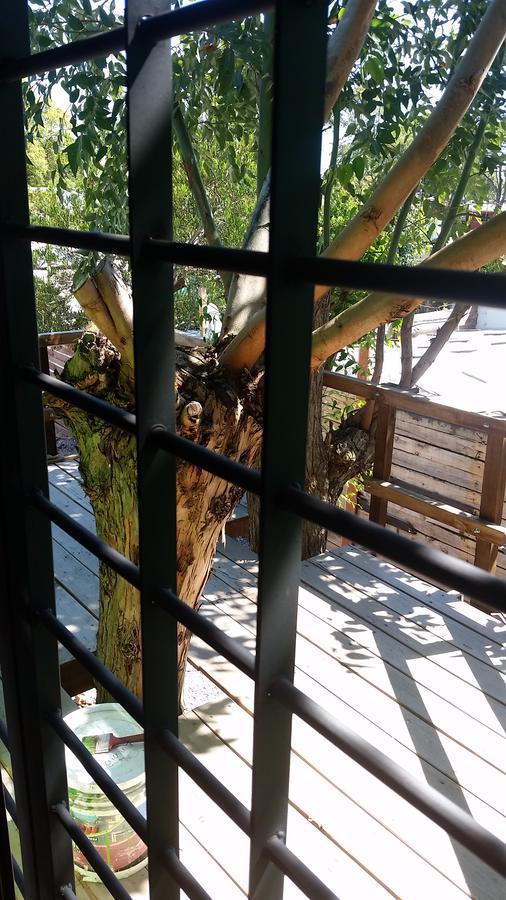Mi Pesadilla Salinas Home エクステリア 写真